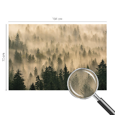 Peel and stick wall mural for living room with a forest fog design
