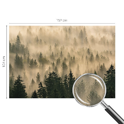 Peel and stick wall mural for living room Forest fog