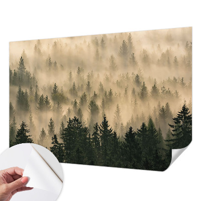 Peel and stick wall mural for living room with a forest fog design