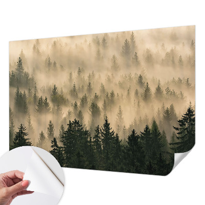 Peel and stick wall mural for living room with a forest fog design
