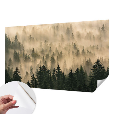 Peel and stick wall mural for living room with a forest fog design