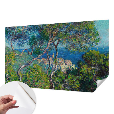 Removable wall mural wallpaper with Mediterranean views