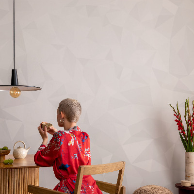 Peel and stick wall mural with an abstract pattern