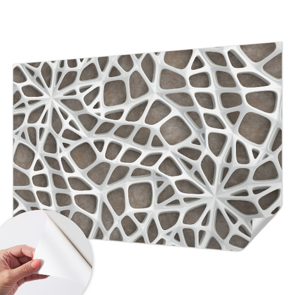 Removable wall mural with a geometric network design