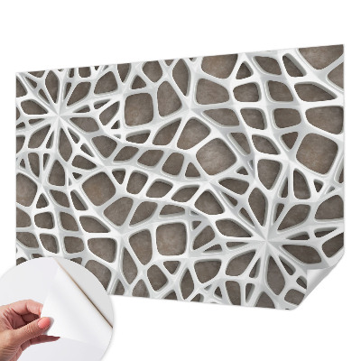 Removable wall mural with a geometric network design