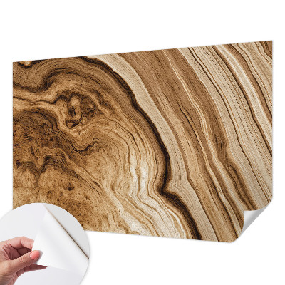Peel and stick wall mural with a wood grain finish for living rooms