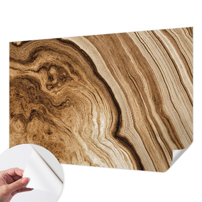 Peel and stick wall mural with a wood grain finish for living rooms