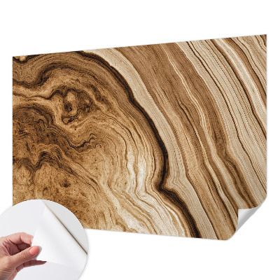 Peel and stick wall mural with a wood grain finish for living rooms
