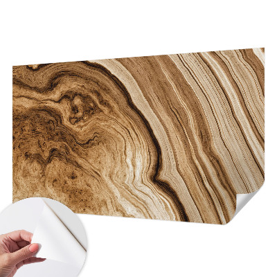 Peel and stick wall mural with a wood grain finish for living rooms