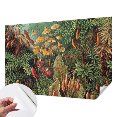 Peel and stick wall mural for kids' room Exotic garden
