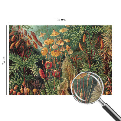 Peel and stick wall mural for kids' room Exotic garden