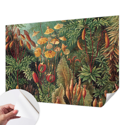 Peel and stick wall mural for kids' room Exotic garden