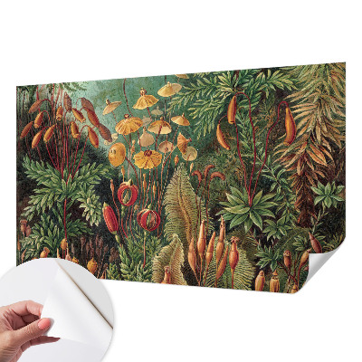 Peel and stick wall mural for kids' room with an exotic garden design