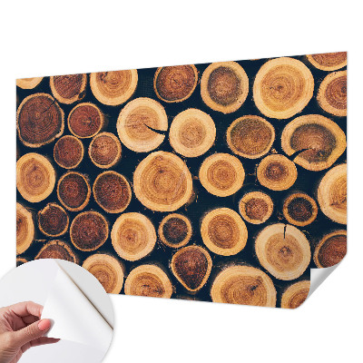 3D photo wallpaper mural with a wooden circles design