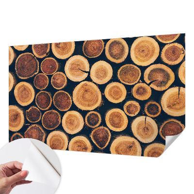 3D photo wallpaper mural Wooden circles