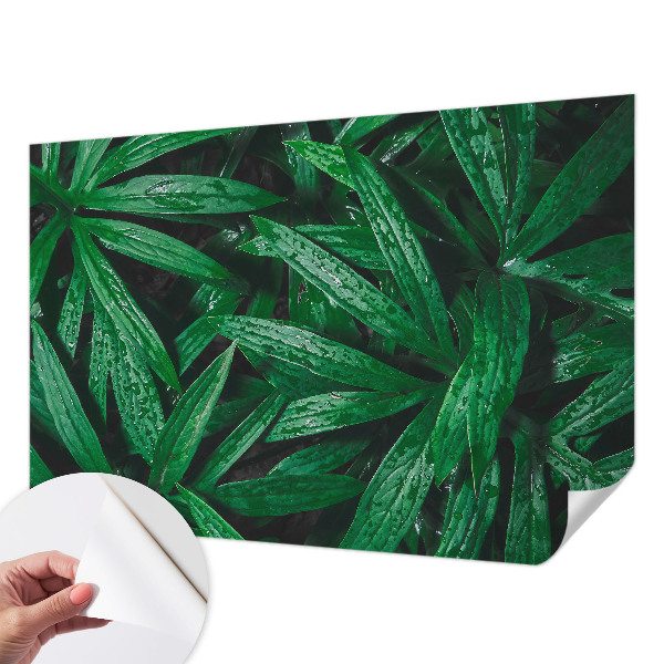 Peel and stick wall mural for kids' room with a natural greenery design