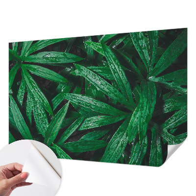 Peel and stick wall mural for kids' room Natural greenery