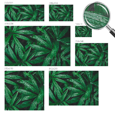 Peel and stick wall mural for kids' room with a natural greenery design