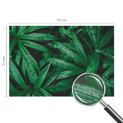 Peel and stick wall mural for kids' room with a natural greenery design