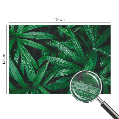 Peel and stick wall mural for kids' room Natural greenery