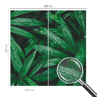 Peel and stick wall mural for kids' room with a natural greenery design
