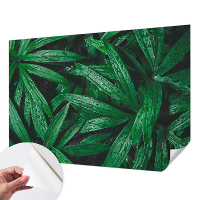 Peel and stick wall mural for kids' room Natural greenery