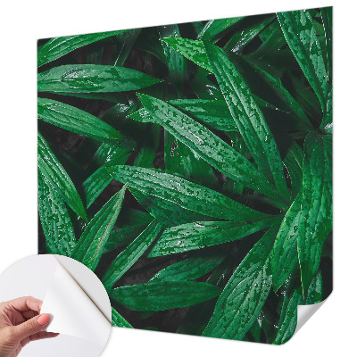 Peel and stick wall mural for kids' room with a natural greenery design