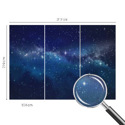 Peel and stick wall mural Starry Night