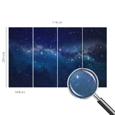 Peel and stick wall mural Starry Night