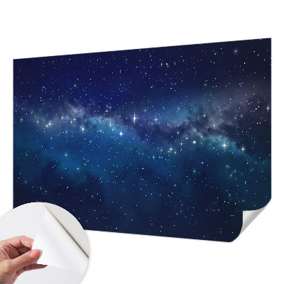 Peel and stick wall mural Starry Night