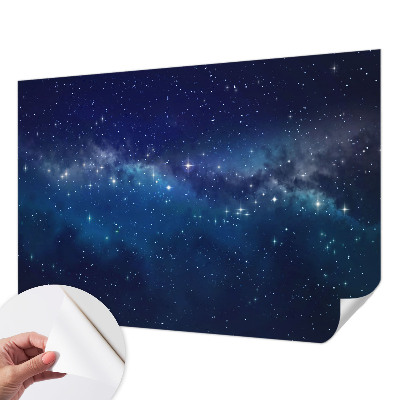 Peel and stick wall mural Starry Night
