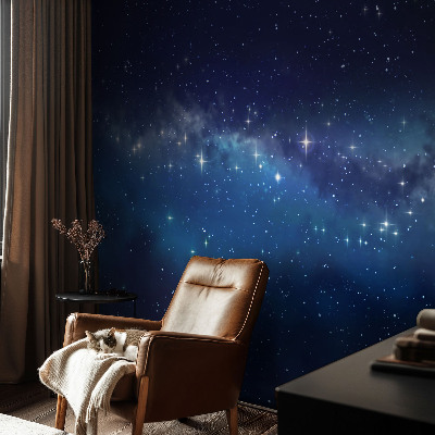 Peel and stick wall mural Starry Night