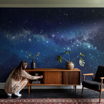 Peel and stick wall mural featuring a Starry Night design