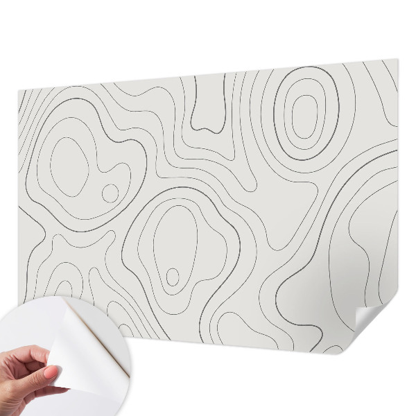 Peel and stick wallpaper mural with fluid line design