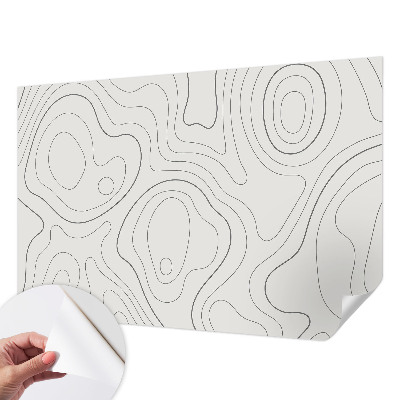Peel and stick wallpaper mural with fluid line design