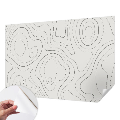Peel and stick wallpaper mural with fluid line design