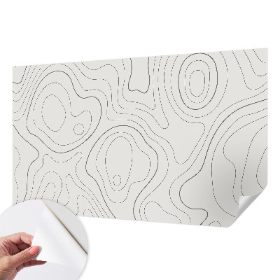 Peel and stick wallpaper mural with fluid line design