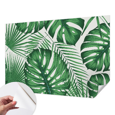 Removable wall mural Tropical leaves