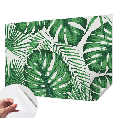 Removable wall mural Tropical leaves