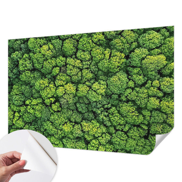 Peel and stick wall mural for kids' room with a forest panorama design