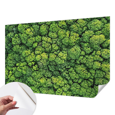 Peel and stick wall mural for kids' room with a forest panorama design