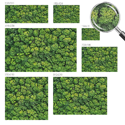 Peel and stick wall mural for kids' room Forest panorama