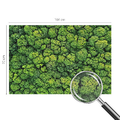 Peel and stick wall mural for kids' room with a forest panorama design