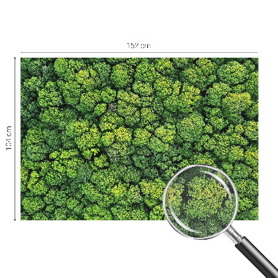 Peel and stick wall mural for kids' room Forest panorama