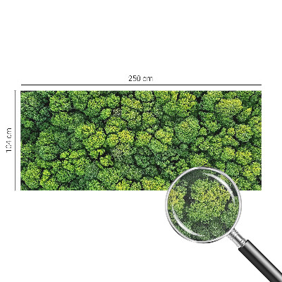 Peel and stick wall mural for kids' room Forest panorama