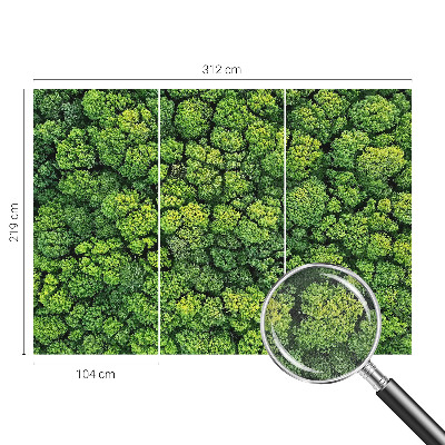 Peel and stick wall mural for kids' room with a forest panorama design