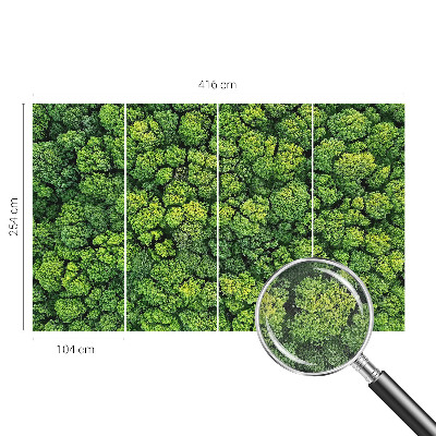 Peel and stick wall mural for kids' room Forest panorama