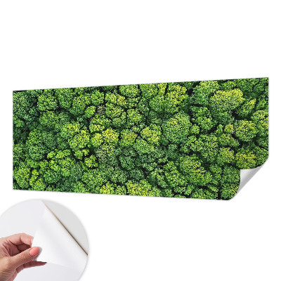Peel and stick wall mural for kids' room with a forest panorama design