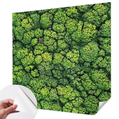 Peel and stick wall mural for kids' room with a forest panorama design
