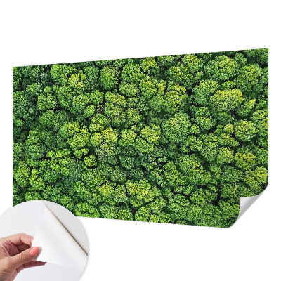 Peel and stick wall mural for kids' room with a forest panorama design